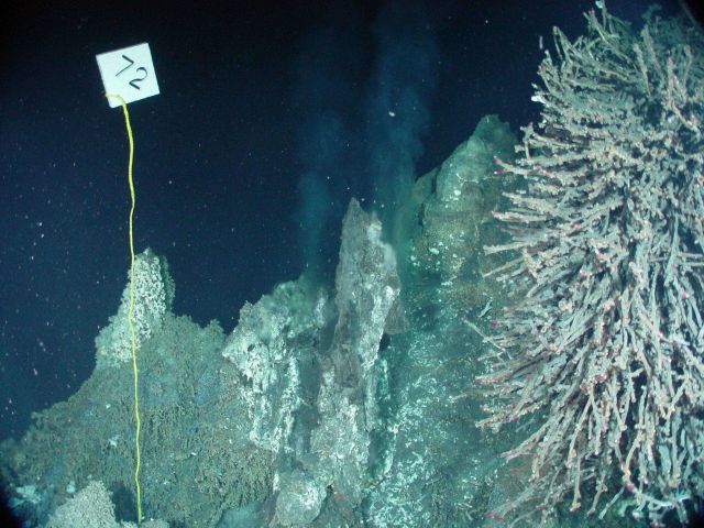 Ring of Fire 2002 Expedition Picture