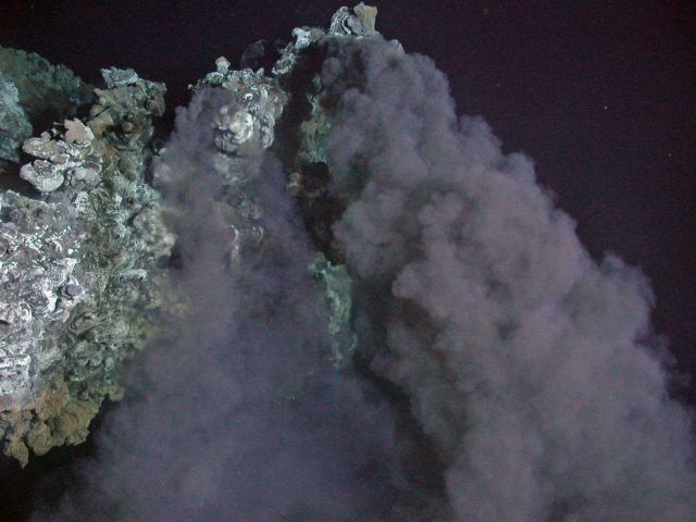 Galapagos 2005 Expedition Picture