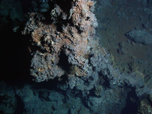 Galapagos 2005 Expedition Picture