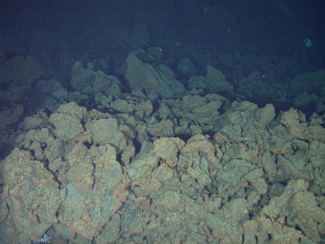 Ring of Fire 2006 Expedition Picture