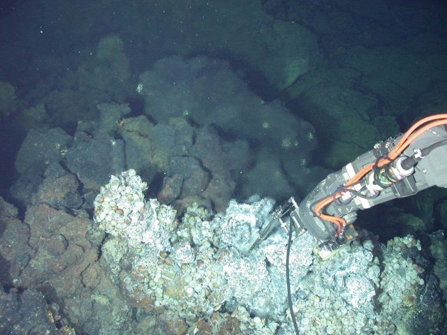 Ring of Fire 2006 Expedition Picture
