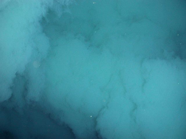 Ring of Fire 2006 Expedition Picture
