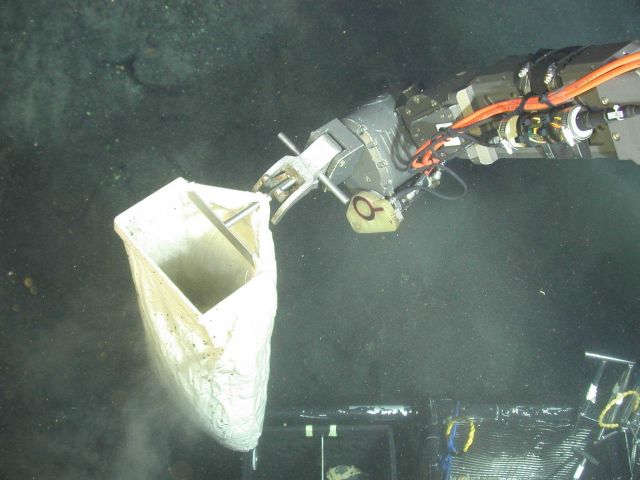 Ring of Fire 2006 Expedition Picture