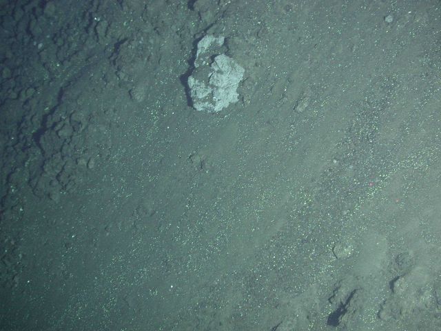 Ring of Fire 2006 Expedition Picture