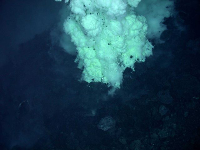 Ring of Fire 2006 Expedition Picture