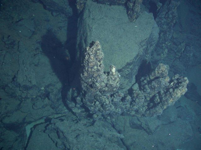 Ring of Fire 2006 Expedition Picture