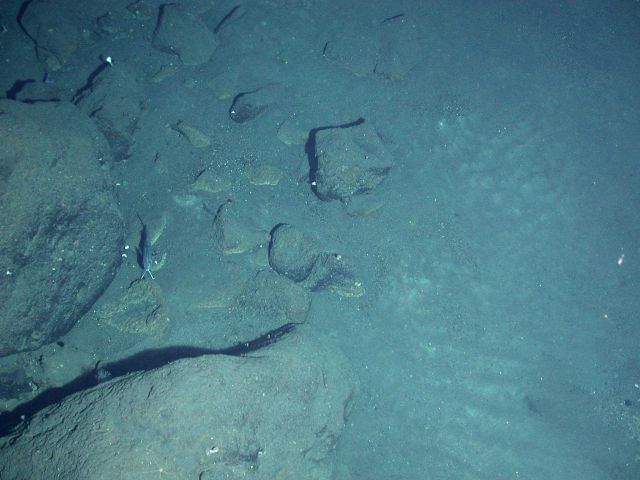 Ring of Fire 2006 Expedition Picture