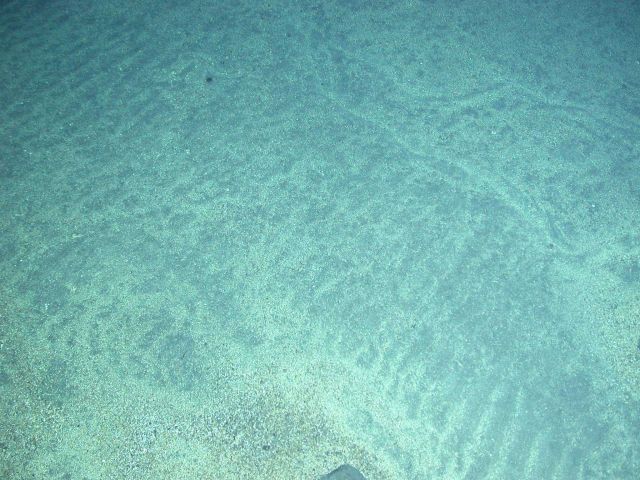 Ring of Fire 2006 Expedition Picture