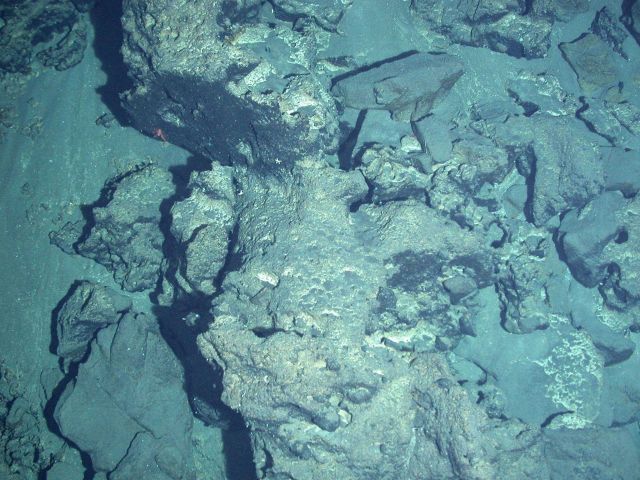 Ring of Fire 2006 Expedition Picture