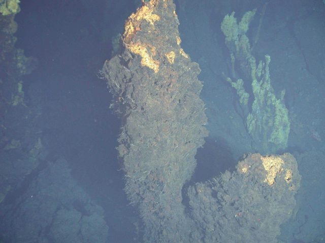 Ring of Fire 2006 Expedition Picture