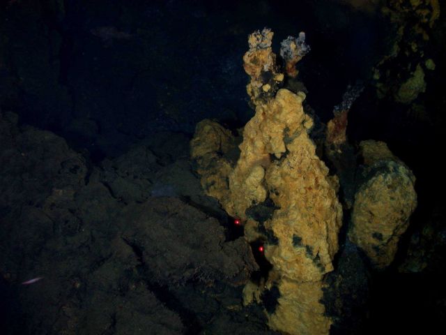 Ring of Fire 2006 Expedition Picture