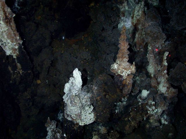 Ring of Fire 2006 Expedition Picture