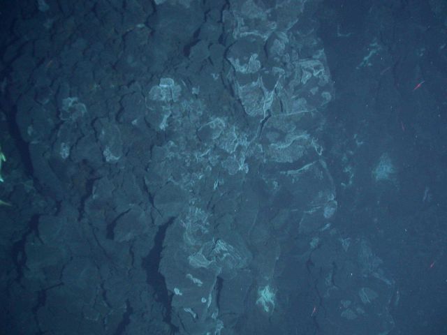 Ring of Fire 2006 Expedition Picture
