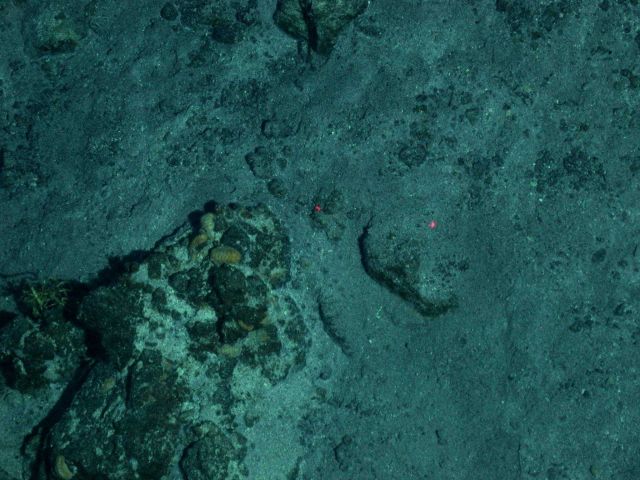 Ring of Fire 2006 Expedition Picture