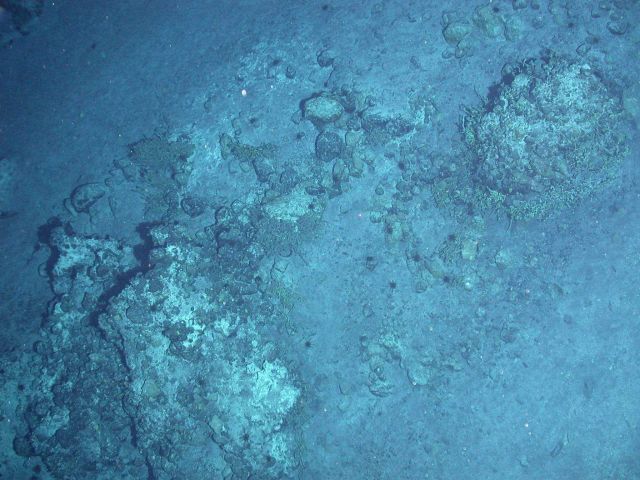 Ring of Fire 2006 Expedition Picture