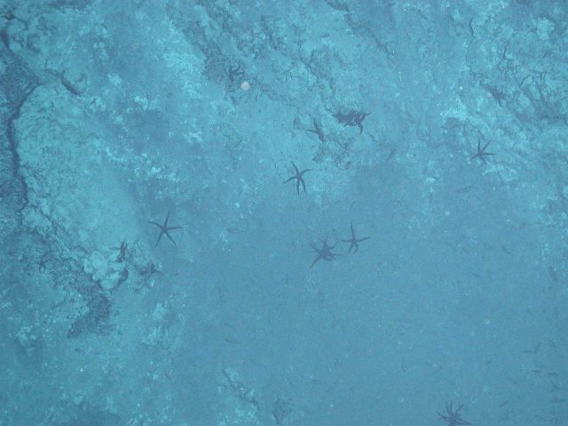 Ring of Fire 2006 Expedition Picture