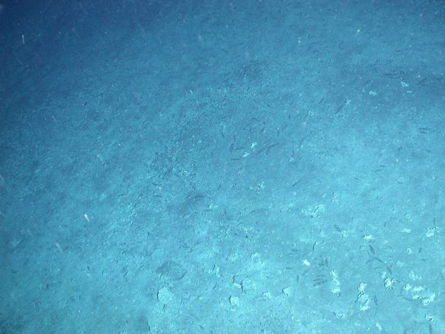 Ring of Fire 2006 Expedition Picture