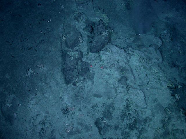 Ring of Fire 2006 Expedition Picture