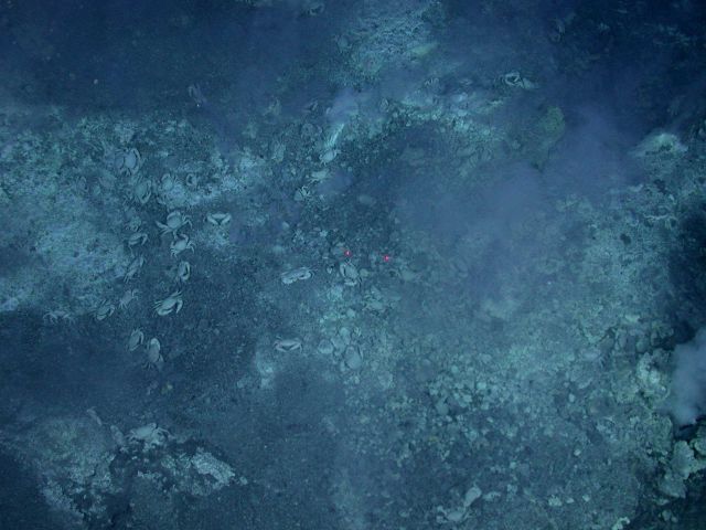 Ring of Fire 2006 Expedition Picture