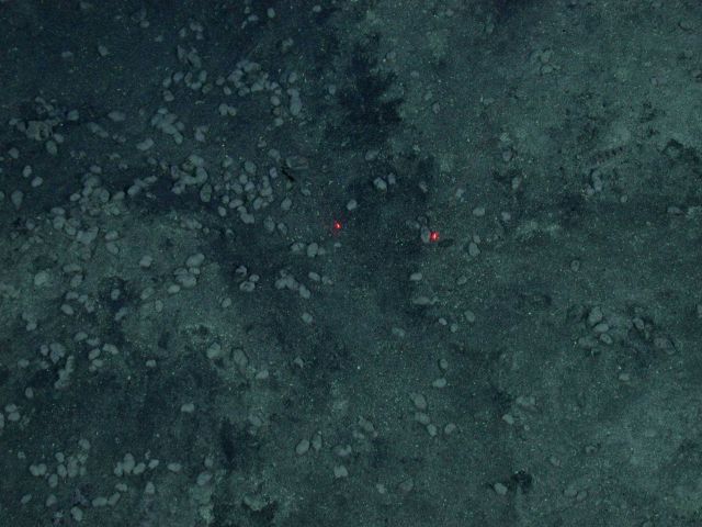 Ring of Fire 2006 Expedition Picture