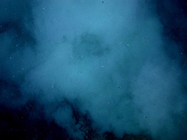 Ring of Fire 2006 Expedition Picture
