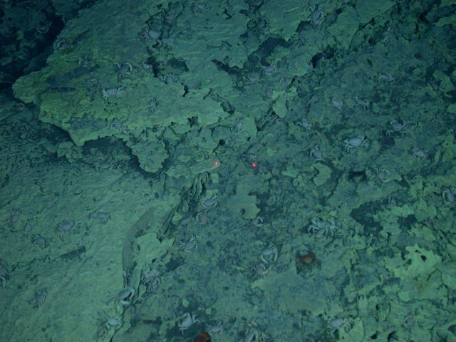 Ring of Fire 2006 Expedition Picture