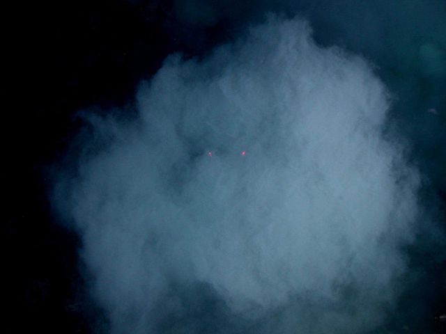 Ring of Fire 2006 Expedition Picture