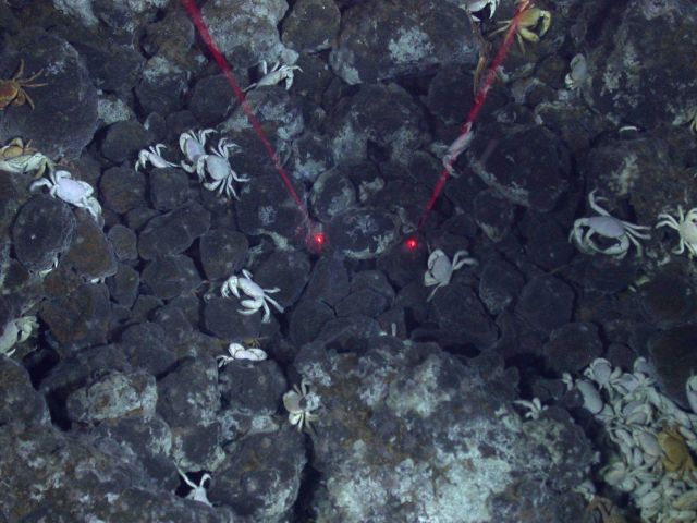Ring of Fire 2006 Expedition Picture