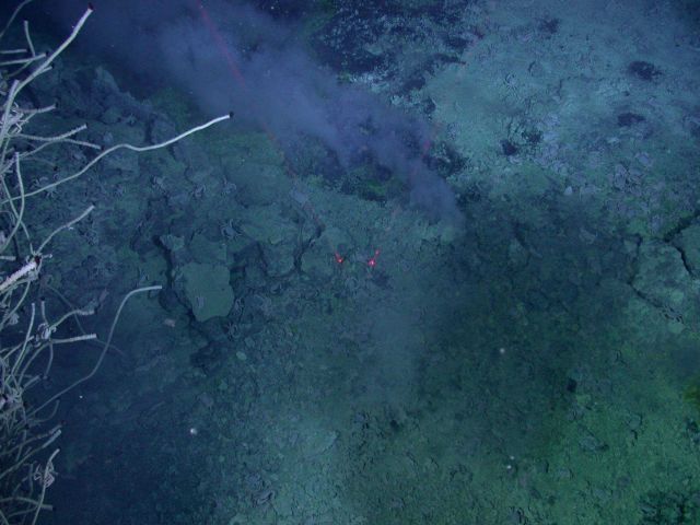 Ring of Fire 2006 Expedition Picture