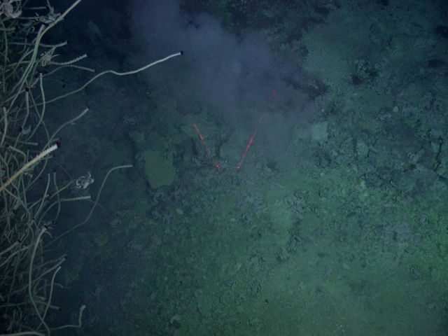 Ring of Fire 2006 Expedition Picture