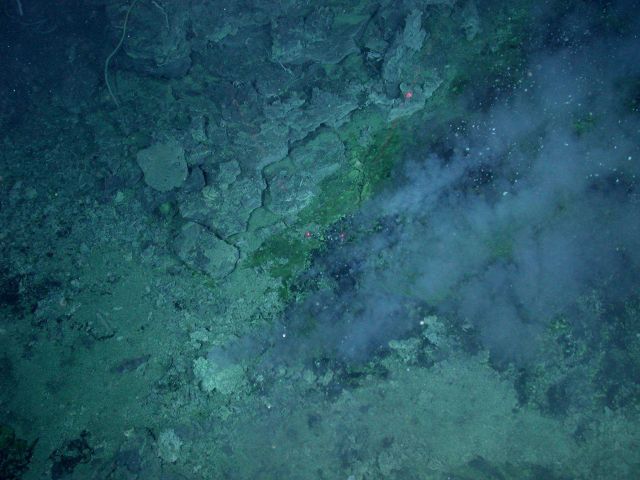 Ring of Fire 2006 Expedition Picture