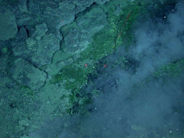 Ring of Fire 2006 Expedition Picture