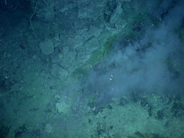 Ring of Fire 2006 Expedition Picture