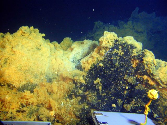 Vailulu'u Expedition 2005 Picture