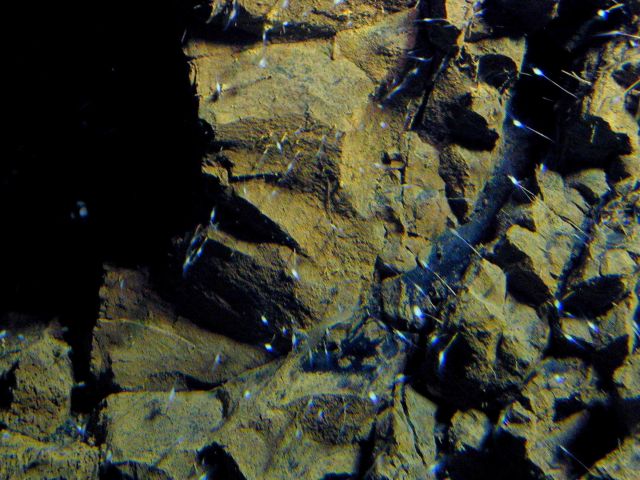 Vailulu'u Expedition 2005 Picture