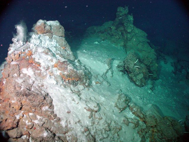 Ring of Fire 2002 Expedition Picture