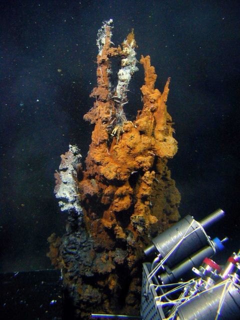 Hot fluids (up to 290 C, 550 F) were sampled from this chimney Picture