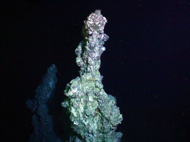 Hot water (221 C, 430 F) was sampled at the base of this sulfide chimney which is almost 6 meters high. Picture
