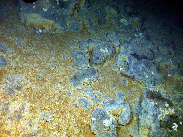 Areas of brownish-yellowish and sometimes whitish crust are observed on the slope of Rumble V Picture