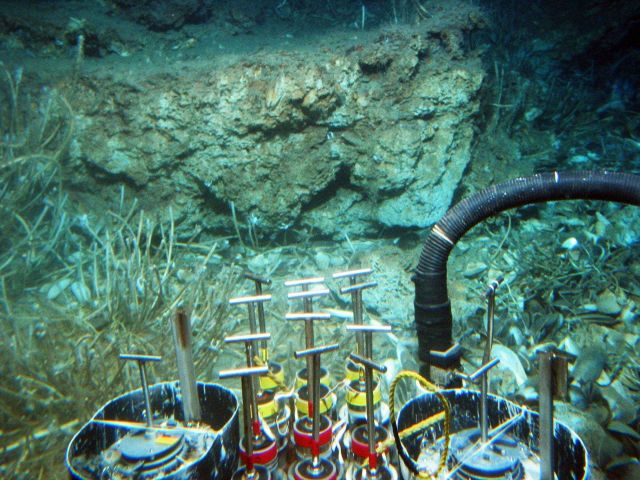 The front of the ALVIN submersible up against a rocky outcrop with tubeworms and mussels scattered along the base Picture