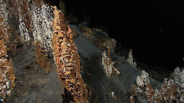 0.5 to 1 meter tall active and inactive spires on the summit of the Kawio Barat submarine volcano Picture