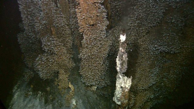 Venting is still active through some of the chimneys Picture