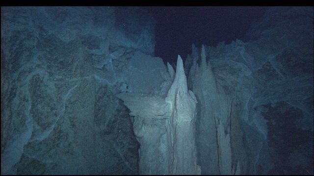 Carbonate structures at the Poseidon carbonate pinnacle. Picture