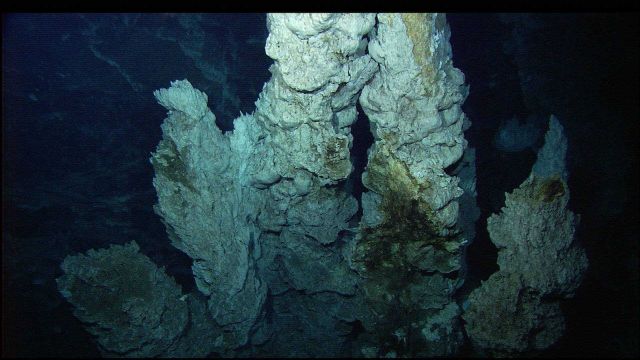 Carbonate spires in the Lost City vent field. Picture