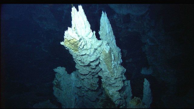 Carbonate spires in the Lost City vent field. Picture