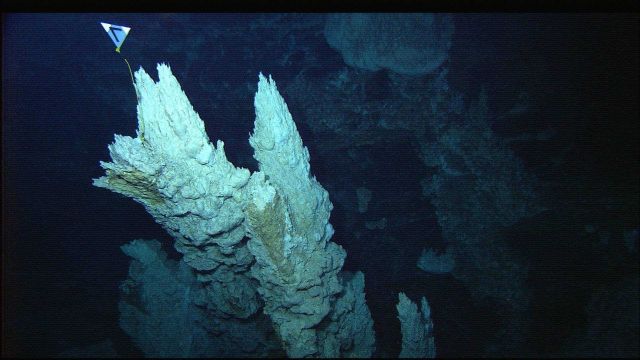 Carbonate spires in the Lost City vent field. Picture