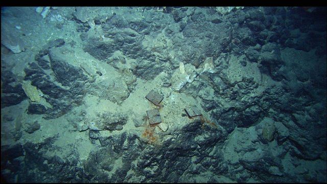 Iron plates on the seafloor in hte vicinity of the Lost City vent field Picture