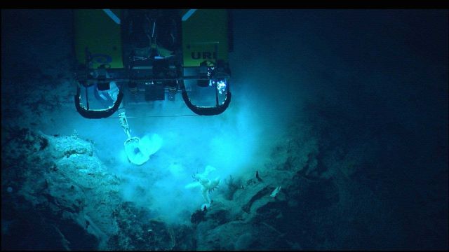 Hercules ROV above rugged topography Picture