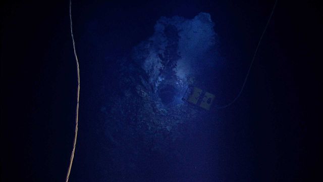 Little Hercules seen from Seirios hovering above a giant hydrothermal spring on the Mid-Cayman Rise. Picture