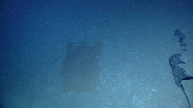 Little Hercules photographs its own shadow as it hovers above the bottom. Picture